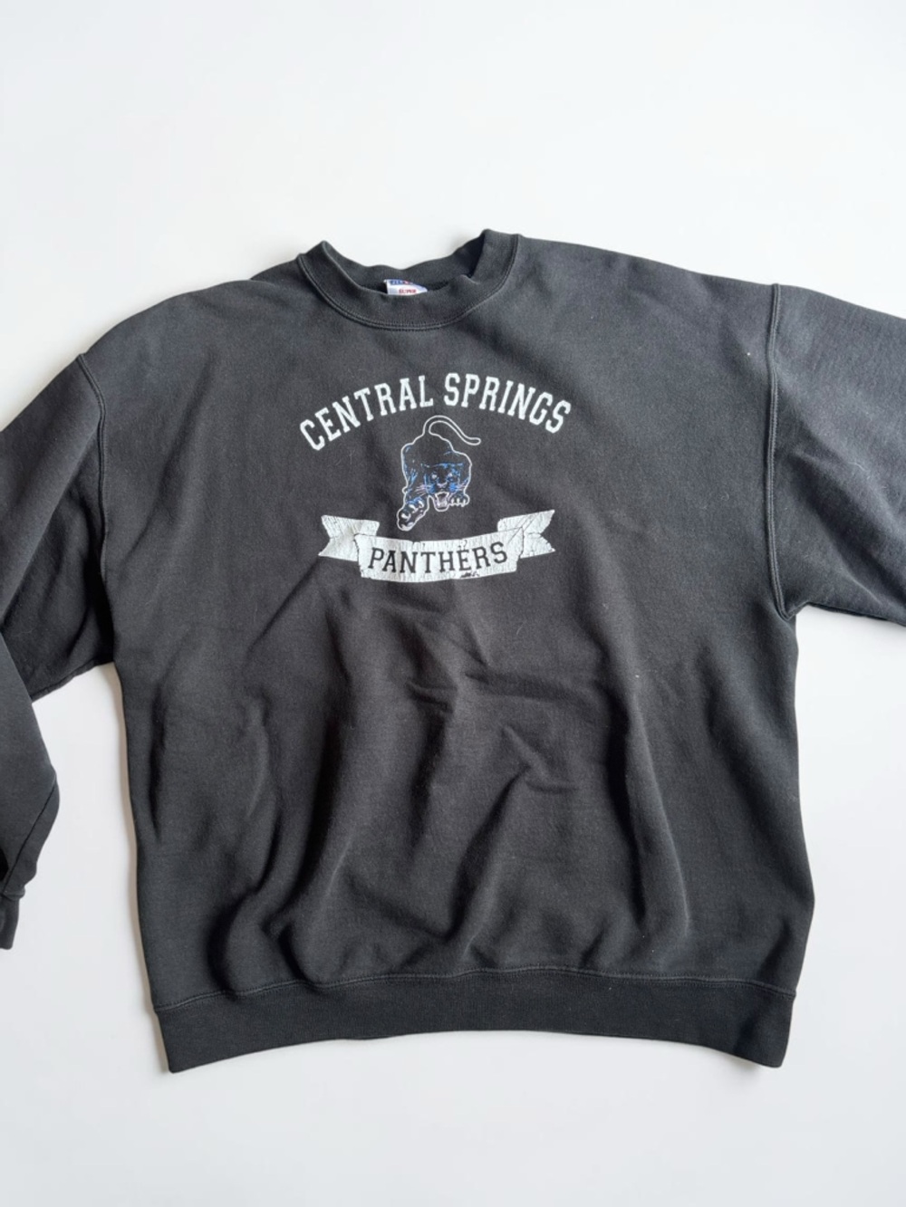 Vintage Jerzees Super Sweats Crewneck Central Springs Panthers USA L